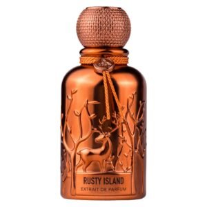 Auraa Desire Rusty Island Extrait De Parfum за мъже 100 мл